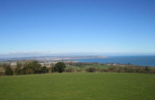 Pear Tree - Photo 17