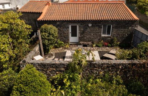 Azores Element - Photo 18