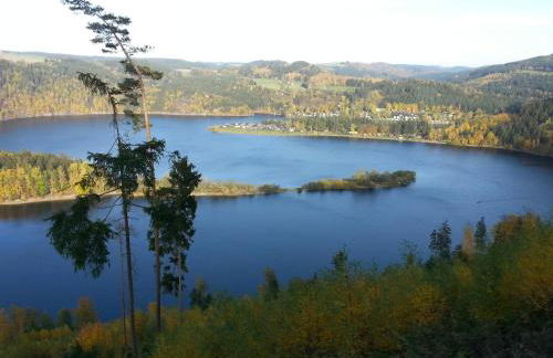 Ferienhaus Wolfs-Revier - Foto 13