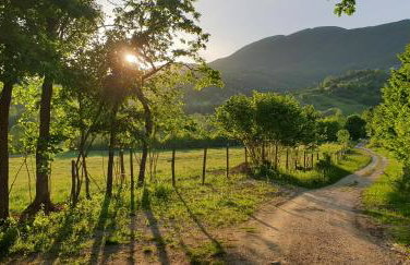 Mountain Villa Carin - Jacuzzi - Panoramic View - 4 Bedrooms - Free Private Parking - Near Zagreb - Photo 41