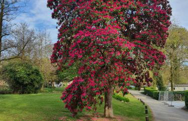 Blissful Escape Hengar Manor - Foto 26