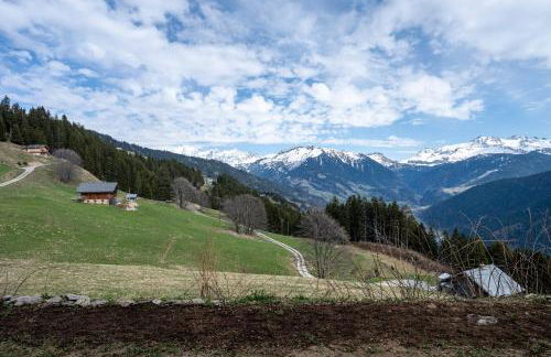 Le petit érable - Vue Mont Blanc - Foto 26
