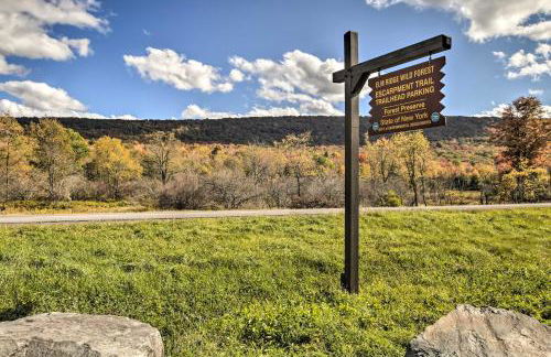 Spacious Apt with Yard 3 Mi to Windham Mountain - Foto 25