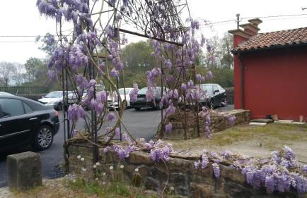 Posada Santa Eulalia - Foto 49