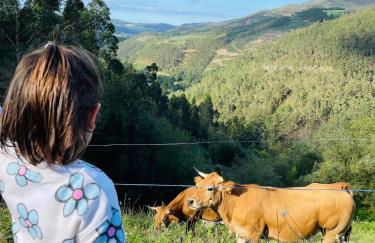 Casa Neto Goje - Foto 30