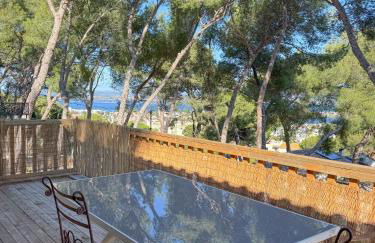 1 Appartement vue panoramique au Mont st Clair - Photo 1