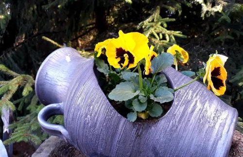 Uroczysko Ruczaj - Foto 11