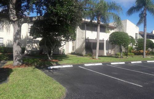 Florida Condos on Lake Tarpon - Foto 57