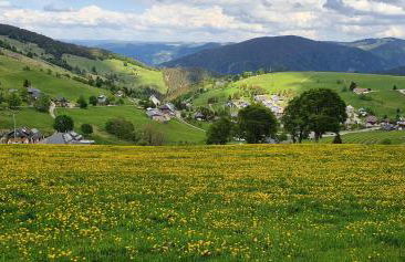 Feldbergblick - Foto 22