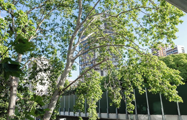 Sucre Suites - Foto 33