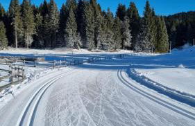 Casa Gildo 1828 - Foto 9