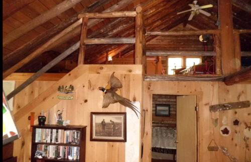 Amazing Lakefront Cabin in the Woodlands near Bangor, Maine - Foto 4