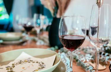 Oasis Appart - Wohnen im Königspark - Elbhang Dresden - große Terrasse - Netflix - TG - Foto 7