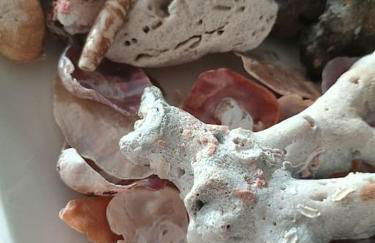 El Camarote de Beiramar - Foto 23