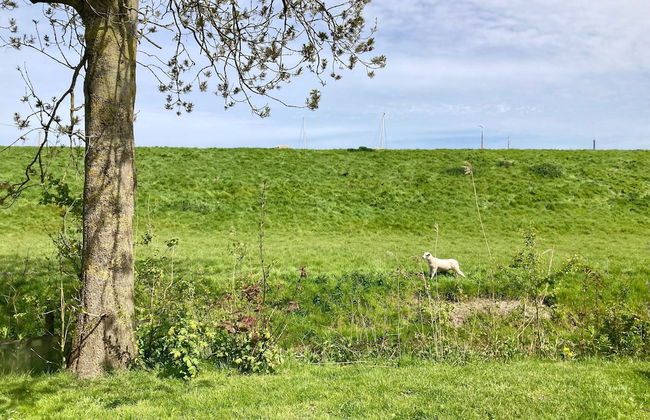 6 Pers Sunny House With Equipped Terrace Behind a Dike at Lauwersmeer - Foto 27