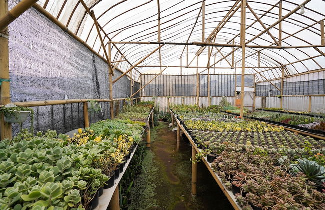 OYO Homes 91006 Eco Tourism Desa Cibodas Areng 5 Syariah - Photo 45