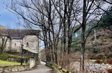 CALMFRANC ático abuhardillado con vistas al río y la montaña Avistamiento de ciervos en Canfranc Pueblo - Foto 48