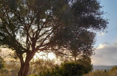 Agriturismo Palas De Serra Country Resort - Foto 65