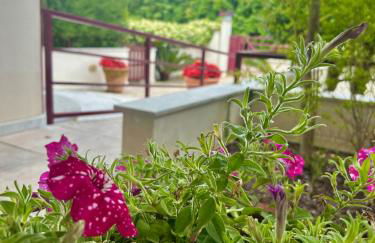 Residence le Pinete RTA - Foto 55