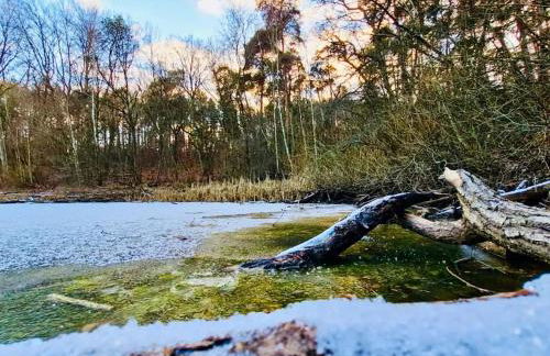 Stallgeflüster Lodge - Foto 24