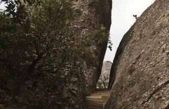 Xalet de la Muntanya, El Bruc-Montserrat - Foto 68