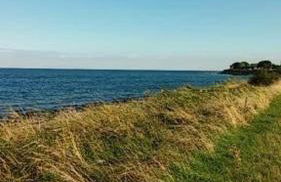 FW Einfeldt - Foto 16