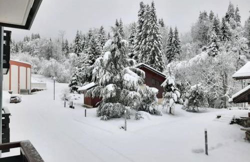 Appartement cosy au pied des pistes - Foto 15