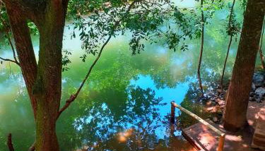 Park Veredas Apto 334 - Foto 2