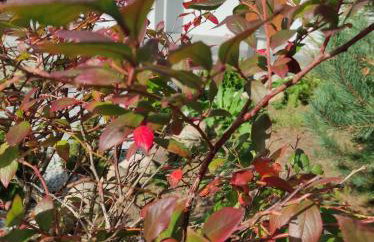 Willa w Brzozach Sznurki Spokojna 1 - Chmielno, Kaszuby, dom, jezioro - Foto 45