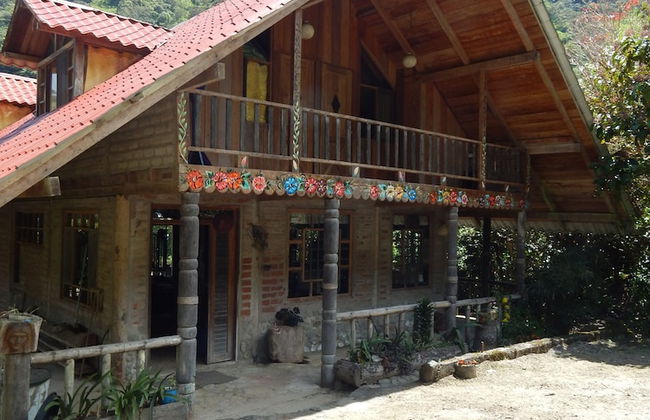 Dogs and Fish Dream Land - Foto 32