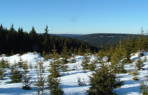 Apartment fewobaerenstein - Foto 24