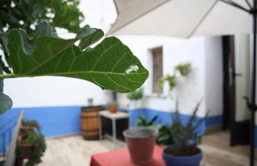 Apts la cañada birding con encanto y patio en monfrague torrejon el Rubio - Foto 59