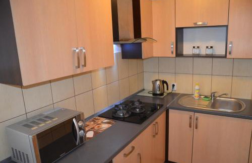 Apartamenty Milówka Centrum - Photo 23