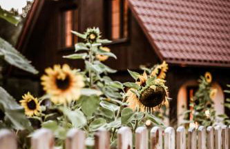 Kaszubski Dom Podcieniowy Bohema - Foto 17