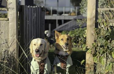 Xanadune Beach House by Bloom Stays - Foto 6