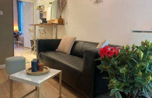 Magnifique appartement T2 aux portes de Paris - Foto 1