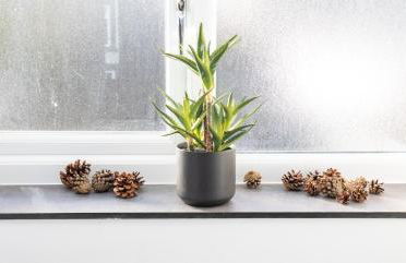 James' Place at Castle Cottage - Foto 78