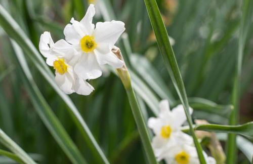 Agriturismo Pozzo Fiorito - Foto 63