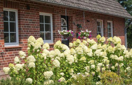 Heidehof Oberhaverbeck - Foto 20