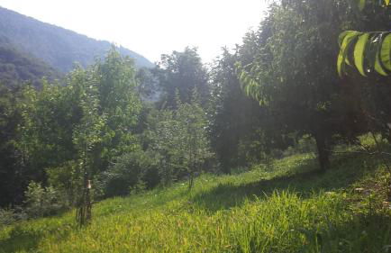 Casa delle Noci - Foto 30