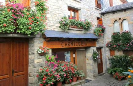 Casa Petirrojo Torla-Ordesa - Foto 25