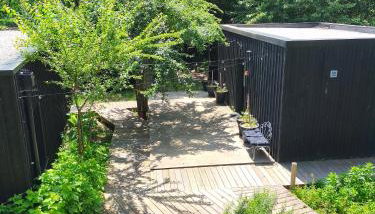 Eco-lodges Lacanau Moutchic Inn - 4 pers - Foto 2