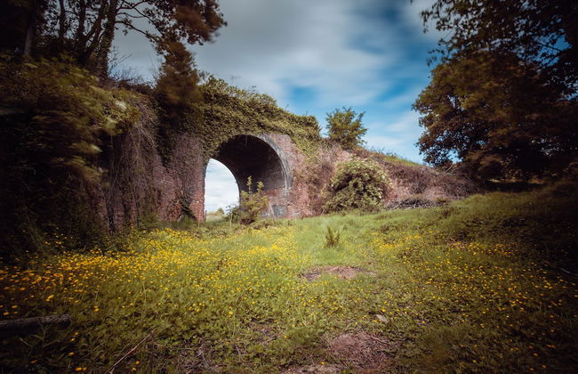 Beautiful 1 bed Glamping pod in Battle - Foto 13