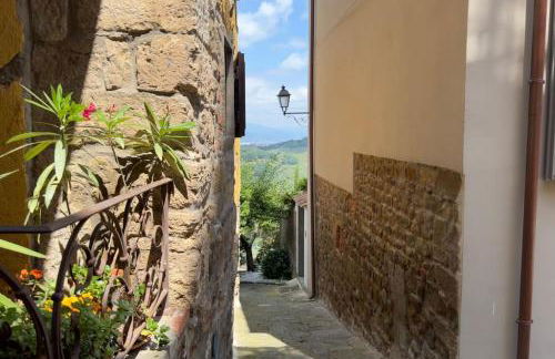 Appartamento della Mamma - Montecatini Alto - Foto 32