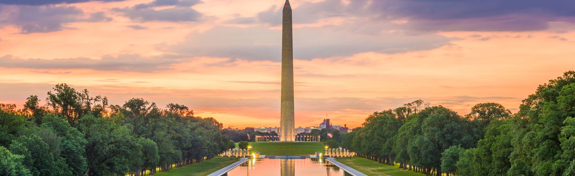 Escala em Washington? Tour privado saindo do aeroporto