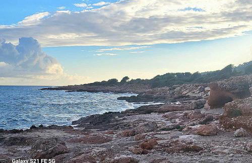 Montemar - Photo 28