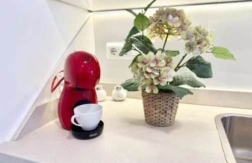 Castro Holidays - Apto D Céntrico Terraza con Garaje Gratis - Photo 45