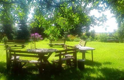 Orzechowy Dworek - Foto 31