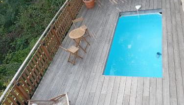 le petit bambou - Foto 2