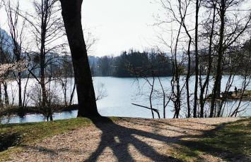 Studio cosy 32m2 independant dans maison - Foto 13